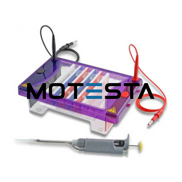 Compact Gel Electrophoresis unit